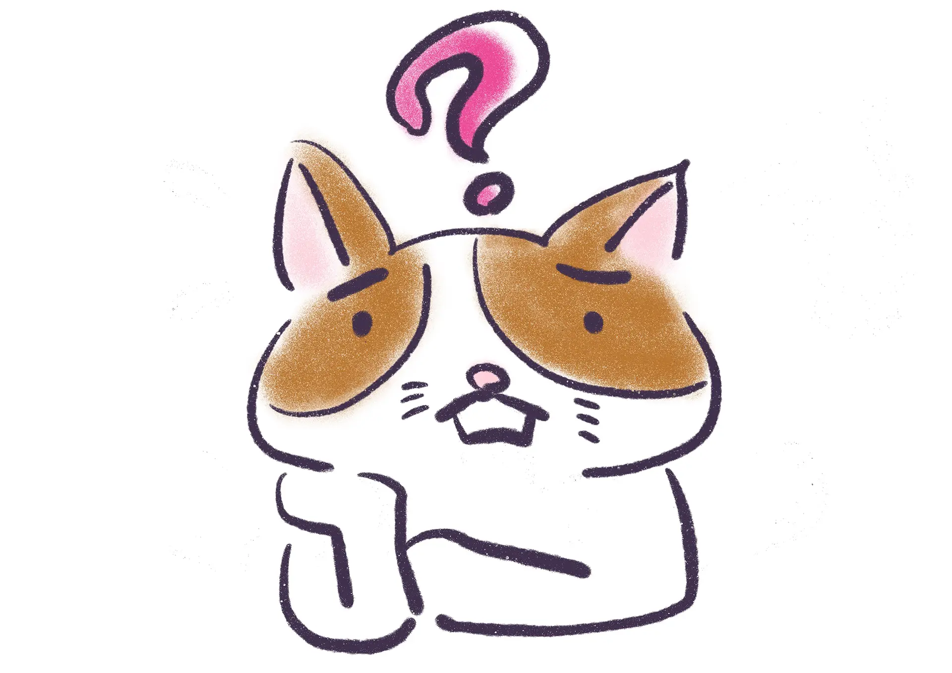 費用・期間に関する質問